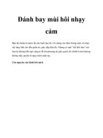 Tài liệu Đánh bay mùi hôi nhạy cảm docx