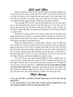 chiến lược của các doanh nghiệp lữ hành việt nam thời kì hậu wto