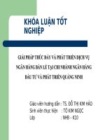 Giải pháp thúc đẩy và phát triển dịch vụ ngân hàng bán lẻ tại chi nhánh ngân hàng đầu tư và phát triển quảng ninh