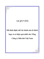 Tài liệu LUẬN VĂN: Mô hình định chế tài chính nào là thích hợp và có hiệu quả nhất cho Tổng Công ty Dầu khí Việt Nam ppt