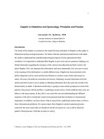 Tài liệu Doppler in Obstetrics and Gynecology: Principles and Practice pptx