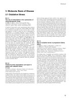 Tài liệu Báo cáo khoa học: The role of antioxidants in the cytotoxicity of chemotherapeutic drugs pptx