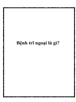 Tài liệu Bệnh trĩ ngoại là gì? pdf
