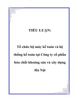 Tổ chức bộ máy kế toán và hệ thống kế toán tại Công ty cổ phần hóa chất khoáng sản và xây dựng Hà Nội
