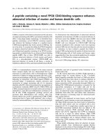 Tài liệu Báo cáo khoa học: A peptide containing a novel FPGN CD40-binding sequence enhances adenoviral infection of murine and human dendritic cells doc