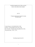 Tài liệu DỰ ÁN “ Trồng thử nghiệm giống thông Pà Cò trên địa bàn tỉnh lai châu ” pptx
