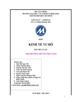 Tài liệu TIỂU LUẬN THỊ TRƯỜNG MÔ TÔ VIỆT NAM pptx