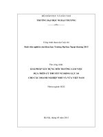 Giải pháp xây dựng môi trường làm việc dựa trên lý thuyết về động lực 3 0 cho các doanh nghiệp nhỏ và vừa việt nam