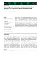 Tài liệu Báo cáo khoa học: Neuronal growth-inhibitory factor (metallothionein-3): reactivity and structure of metal–thiolate clusters* doc