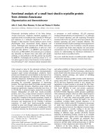 Tài liệu Báo cáo Y học: Functional analysis of a small heat shock/a-crystallin protein from Artemia franciscana docx