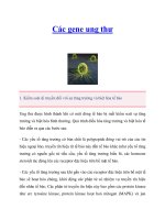 Tài liệu Các gene ung thư docx