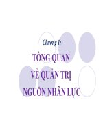 Tài liệu Chương 1: TỔNG QUAN VỀ QUẢN TRỊ NGUỒN NHÂN LỰC pot