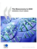 Tài liệu the bioeconomy to 2030 designing a policy agenda doc