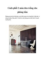 Tài liệu Cách phối 2 màu đen trắng cho phòng tắm pot