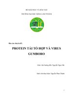 Tài liệu TIỂU LUẬN: PROTEIN TÁI TỔ HỢP VÀ VIRUS GUMBORO ppt