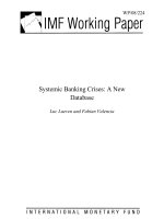 Tài liệu Systemic Banking Crises: A New Database docx