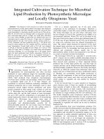 Tài liệu Báo cáo : Integrated Cultivation Technique for Microbial Lipid Production by Photosynthetic Microalgae and Locally Oleaginous Yeast pptx