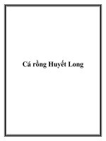 Tài liệu Cá rồng Huyết Long pptx