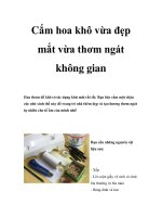 Tài liệu Cắm hoa khô vừa đẹp mắt vừa thơm ngát không gian docx