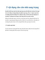 Tài liệu 5 vật dụng cho căn nhà sang trọng pdf
