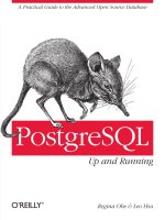 Tài liệu PostgreSQL: Up and Running doc