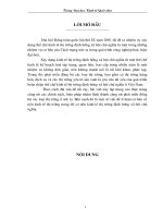 giải pháp phát triển đồng bộ các loại thị trường trong nền kinh tế thị trường định hướng xã hội chủ nghĩa ở vn