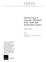 Tài liệu Statistical Issues In Interactive Web-based Public Health Data Dissemination Systems doc
