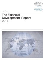 Tài liệu The Financial Development Report 2011 ppt