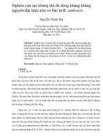 Nghiên cứu tạo kháng thể đa dòng kháng kháng nguyên đặc hiệu trên vỏ bào tử b  anthracis