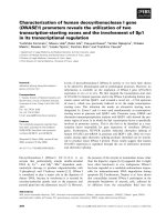 Tài liệu Báo cáo khoa học: Characterization of human deoxyribonuclease I gene (DNASE1) promoters reveals the utilization of two transcription-starting exons and the involvement of Sp1 in its transcriptional regulation ppt