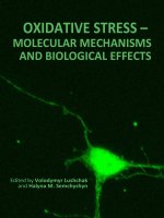 Tài liệu OXIDATIVE STRESS – MOLECULAR MECHANISMS AND BIOLOGICAL EFFECTS doc