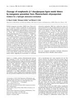 Tài liệu Báo cáo khoa học: Cleavage of nonphenolic b-1 diarylpropane lignin model dimers by manganese peroxidase from Phanerochaete chrysosporium Evidence for a hydrogen abstraction mechanism docx