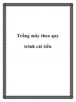 Tài liệu Trồng mây theo quy trình cải tiến pdf