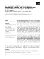 Tài liệu Báo cáo khoa học: The localization of FGFR3 mutations causing thanatophoric dysplasia type I differentially affects phosphorylation, processing and ubiquitylation of the receptor pptx