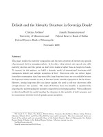 Tài liệu Default and the Maturity Structure in Sovereign Bonds∗ docx