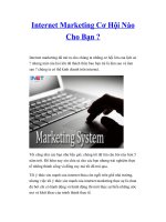 Tài liệu Internet Marketing Cơ Hội Nào Cho Bạn ? pptx