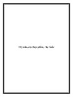 Tài liệu Cây mía, cây thực phẩm, cây thuốc pdf