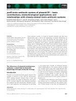 Tài liệu Báo cáo khoa học: parDtoxin–antitoxin system of plasmid R1 – basic contributions, biotechnological applications and relationships with closely-related toxin–antitoxin systems ppt