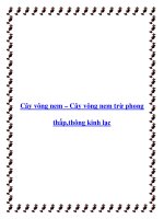 Tài liệu Cây vông nem – Cây vông nem trừ phong thấp,thông kinh lạc pptx