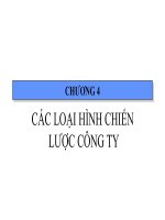 Tài liệu CÁC LOẠI HÌNH CHIẾN LƯỢC CÔNG TY pot