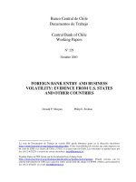 Tài liệu FOREIGN BANK ENTRY AND BUSINESS VOLATILITY: EVIDENCE FROM U.S. STATES AND OTHER COUNTRIES docx