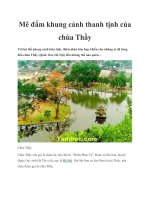 Tài liệu Mê đắm khung cảnh thanh tịnh của chùa Thầy pot