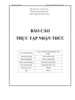 báo cáo thực tập nhận thức công ty cổ phần xuất nhập khẩu tiến minh