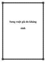 Tài liệu Sưng ruột già do kháng sinh pdf