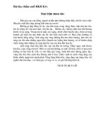 Tài liệu Đề thi cuối kỳ II môn Tiếng Việt lớp 4 năm 2009-2010 potx