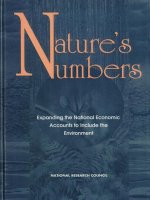 Tài liệu Nature’s Numbers Expanding the National Economic Accounts to Include the Environment doc