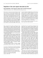 Tài liệu Báo cáo khoa học: Regulation of the actin–myosin interaction by titin doc