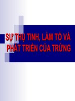 Tài liệu Sinh lý thụ tinh ppt