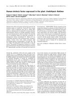 Tài liệu Báo cáo khoa học: Human intrinsic factor expressed in the plant Arabidopsis thaliana doc