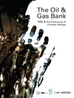 Tài liệu The Oil & Gas Bank - RBS & the financing of climate change pptx